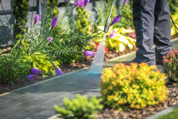 Best Dumpster Area Cleaning  in Cape May, NJ