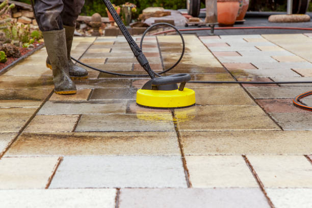 Animal Enclosure Cleaning in Cape May, NJ
